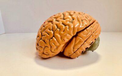 Avaliação Neuropsicológica: O Caminho para uma Compreensão precisa da Mente e do Cérebro
