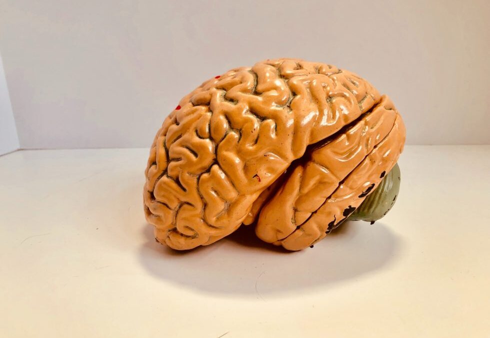 Avaliação Neuropsicológica: O Caminho para uma Compreensão precisa da Mente e do Cérebro
